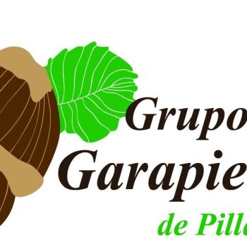 LOGOTIPO DE GARAPIELLU Original
